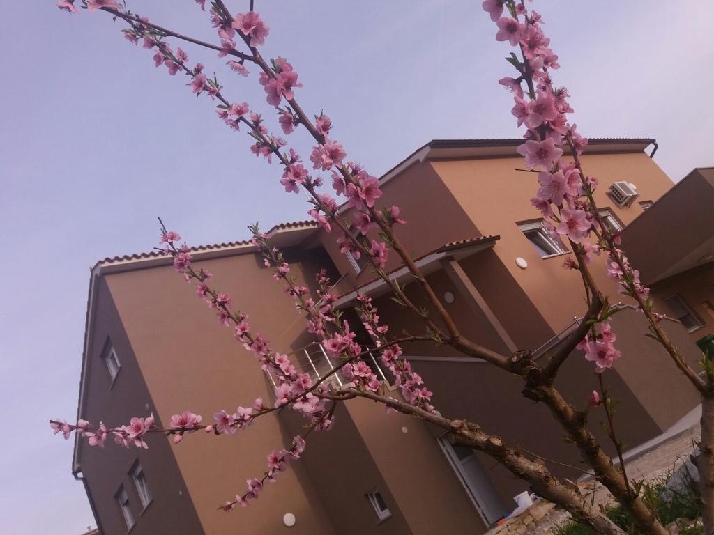 Apartmani B&B Ližnjan Buitenkant foto