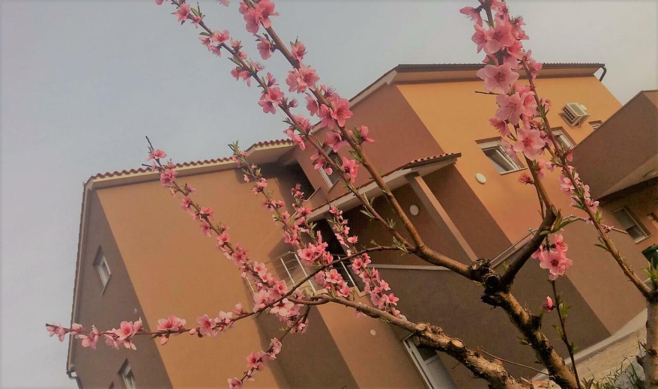 Apartmani B&B Ližnjan Buitenkant foto
